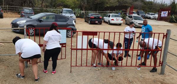 Painting with donkeys 
