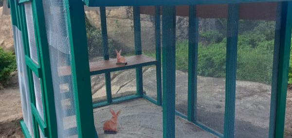 Un cas amplio pa nos coneunan