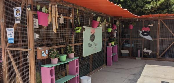 Voorbereiding voor dak vervanging 