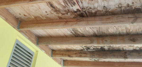 Drecha afdak  y espacio pa nos chikinan