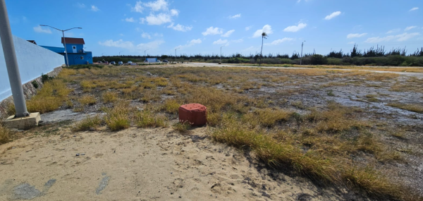 Clean up project in front of Stichting HUNTO