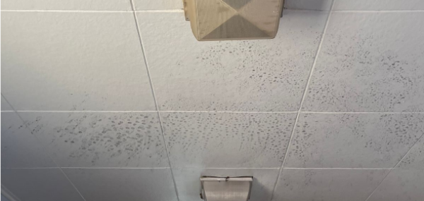 Ayudo cu plafond y luz den nos lokaal