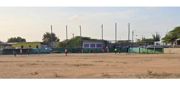 Drecha backstop y update veld/tribune y cushina