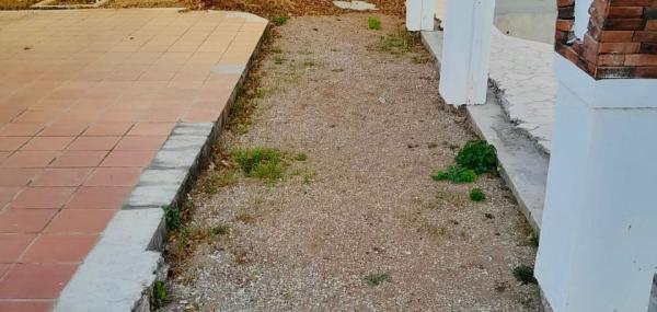 Montessori Elementary Schoolhouse Garden