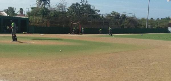 Dugout benches replacement