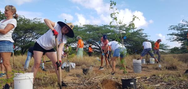 Kom samen bomen planten!