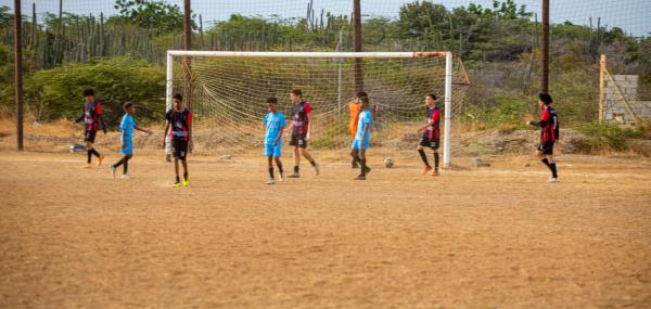 Repair 4 soccer goals and install backstop nets