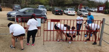 Painting with donkeys 