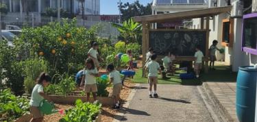 From Concrete to Green