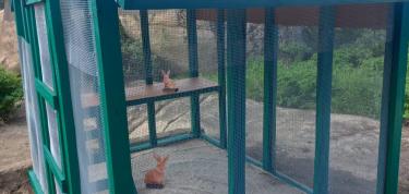 Un cas amplio pa nos coneunan