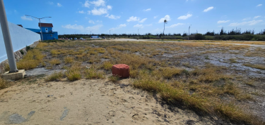 Clean up project in front of Stichting HUNTO