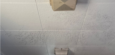 Ayudo cu plafond y luz den nos lokaal