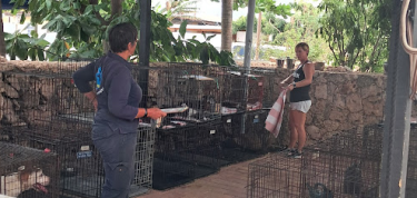 Limpiesa total - Voorjaarsschoonmaak