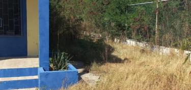 Let's clean our garden