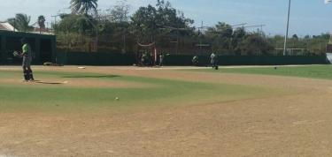 Dugout benches replacement