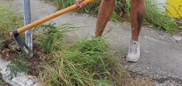 Montessori Elementary Schoolhouse Garden