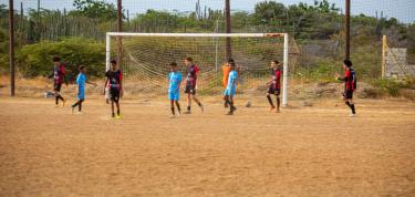 Repair 4 soccer goals and install backstop nets